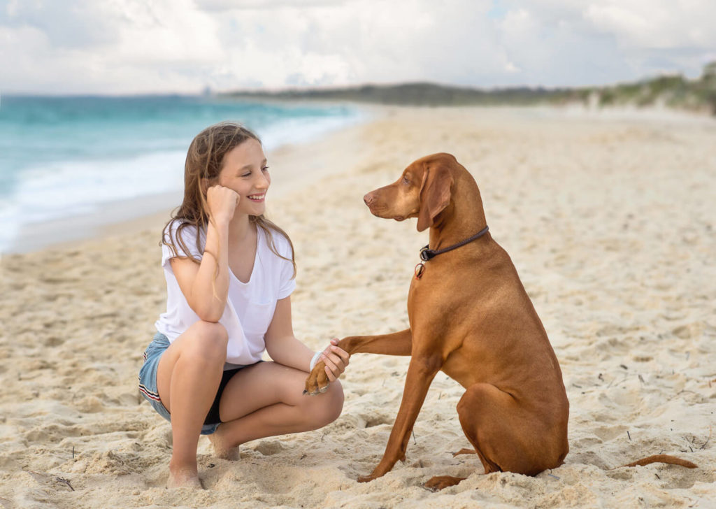 Perth Child with pet dog during family photography session