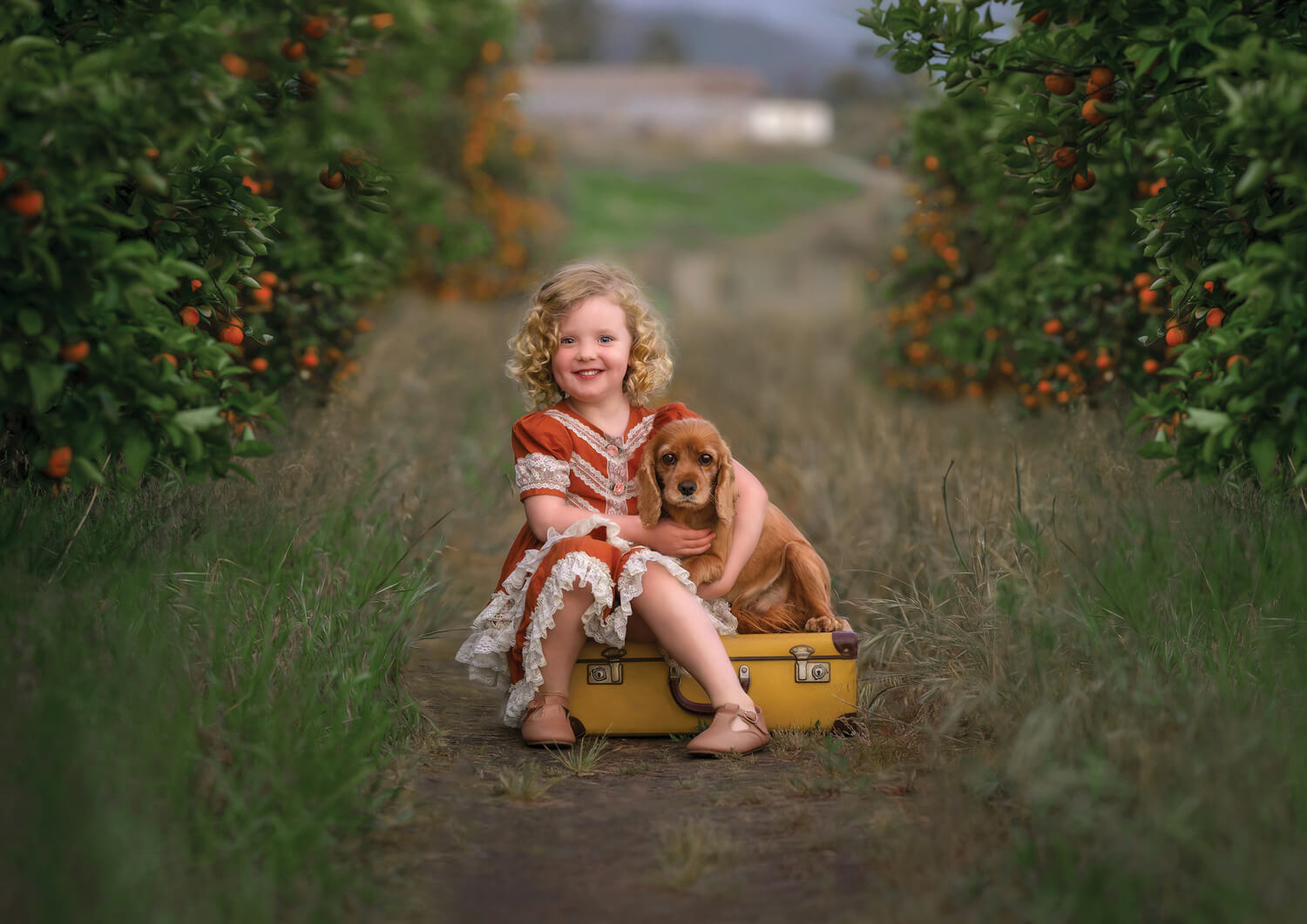 Perth girl sitting with her dog during photoshoot at an orange farm.