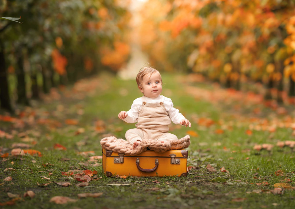Baby Photo Session at Autumn