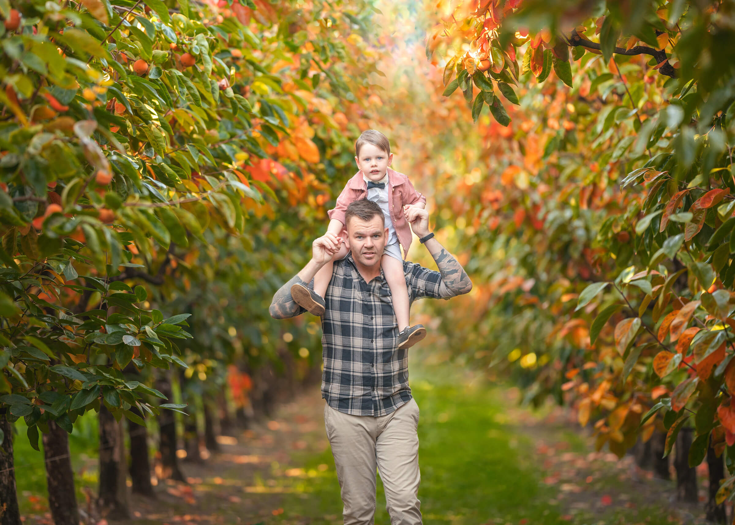 Perth dad with toddler during family photo shoot at Raeburn Orchard
