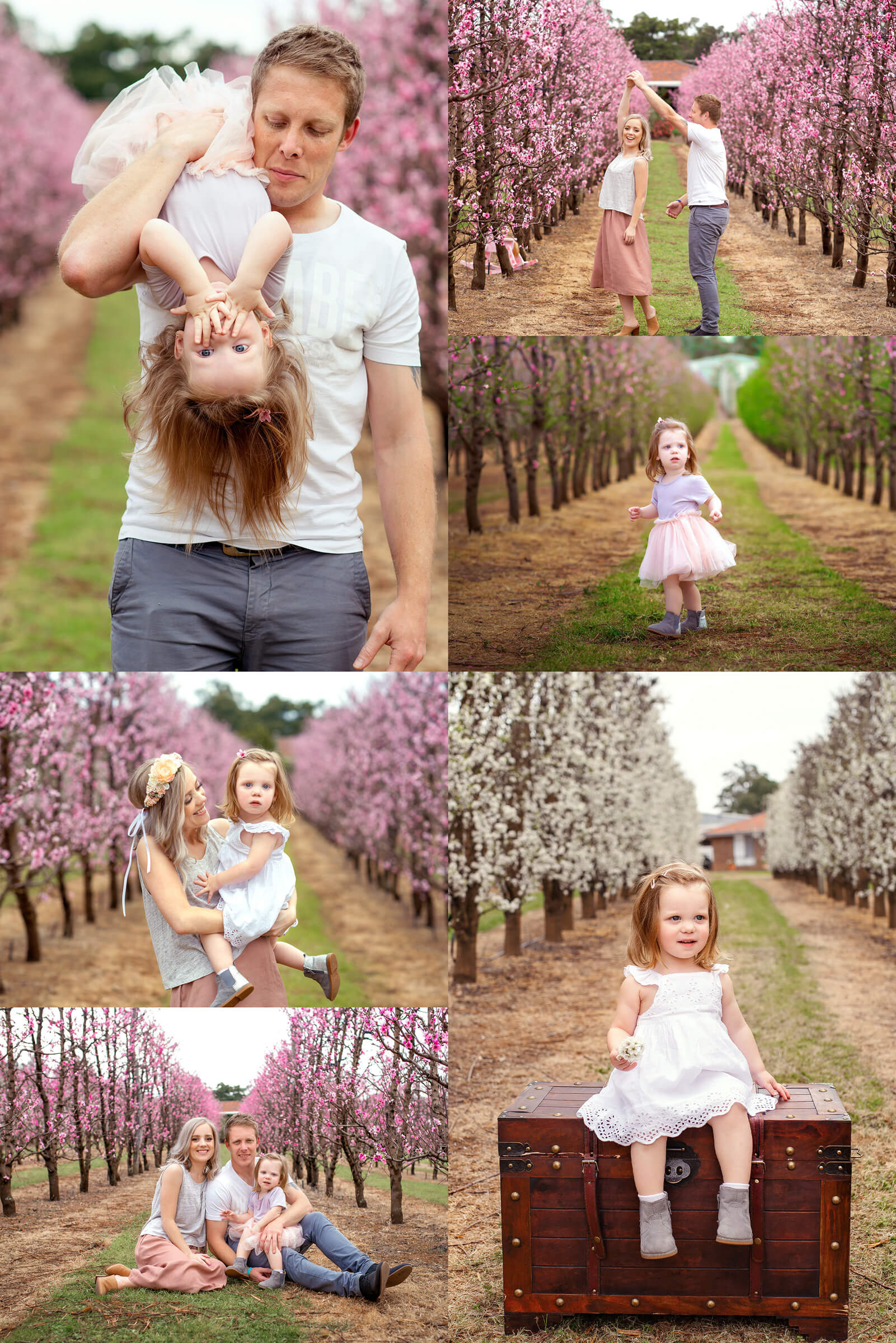 Spring Family Photography Perth