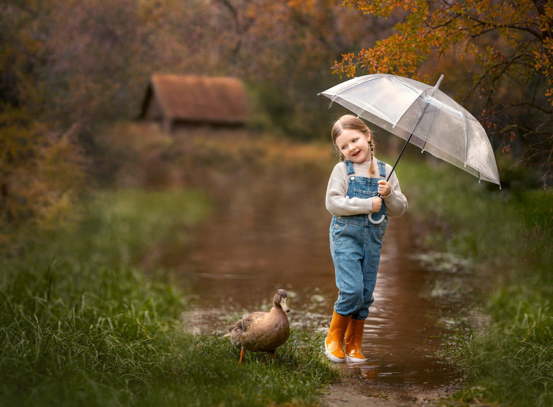 5 year old girl with pet duck during outdoor Perth Children Water-creek Portrait Session.