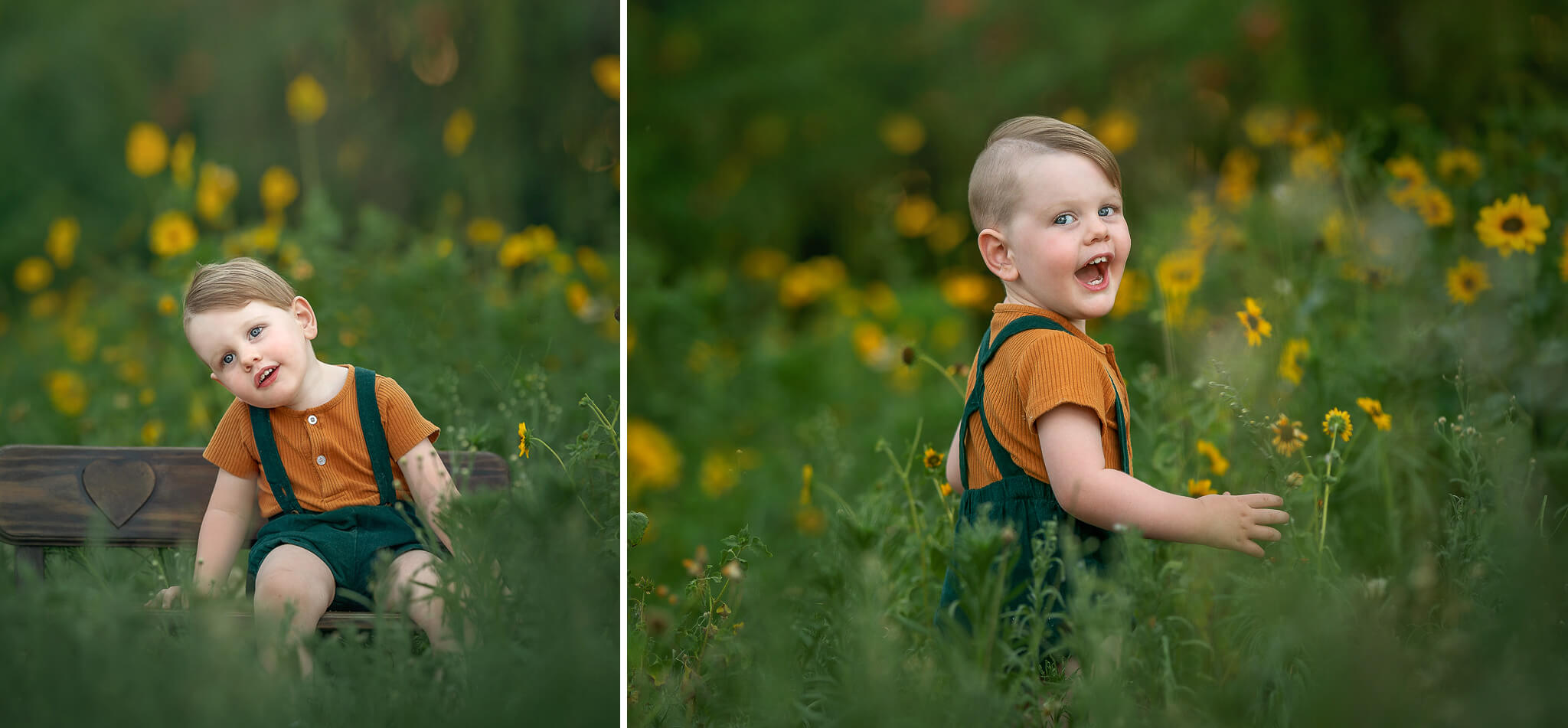 3 year old boy in a gorgeous Perth location with yellow flowers during spring photoshoot