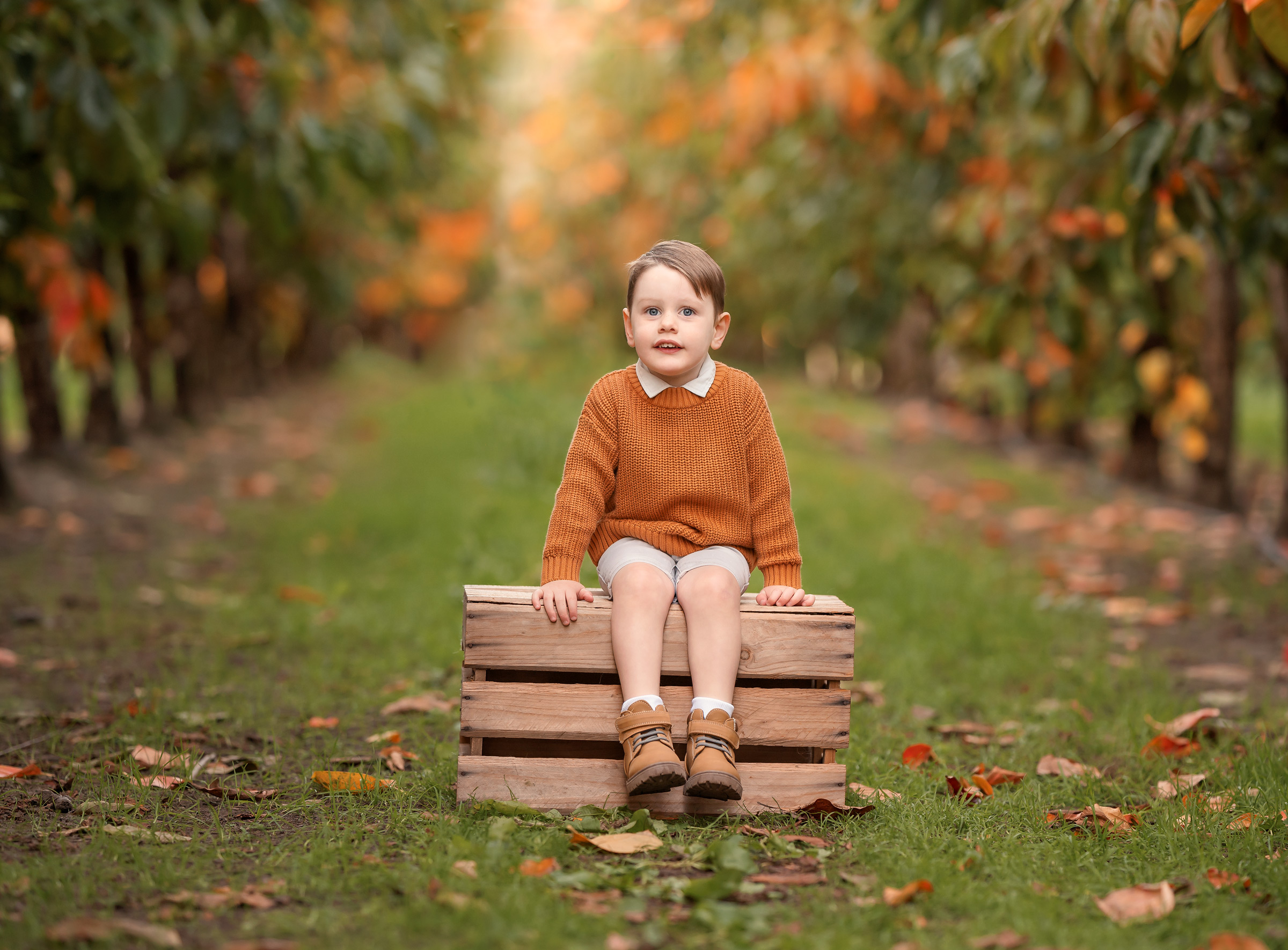 Perth boy during autumn family portrait session at Raeburn Orchard