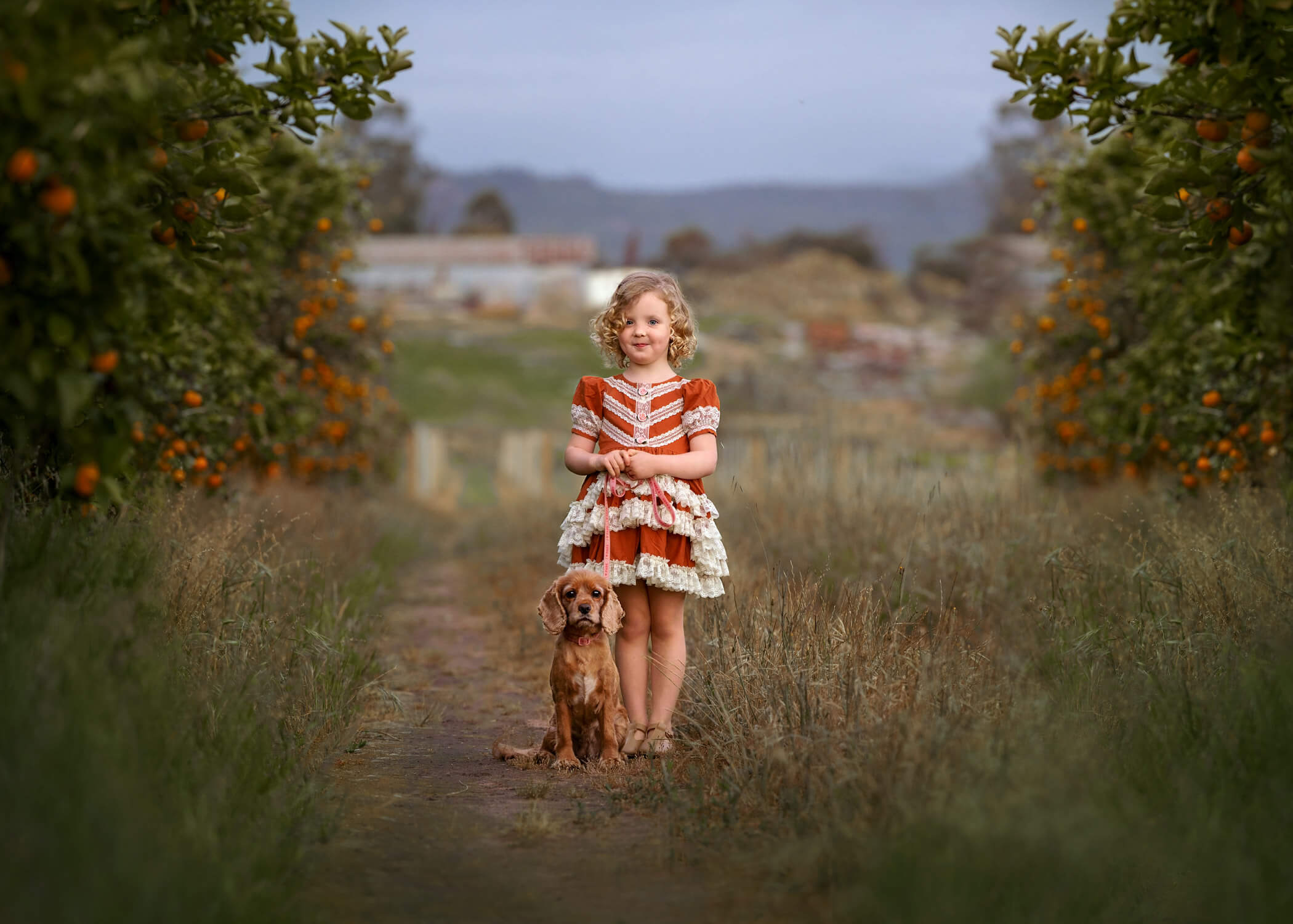 Little Perth girl with her dog photoshoot at an orange orchard