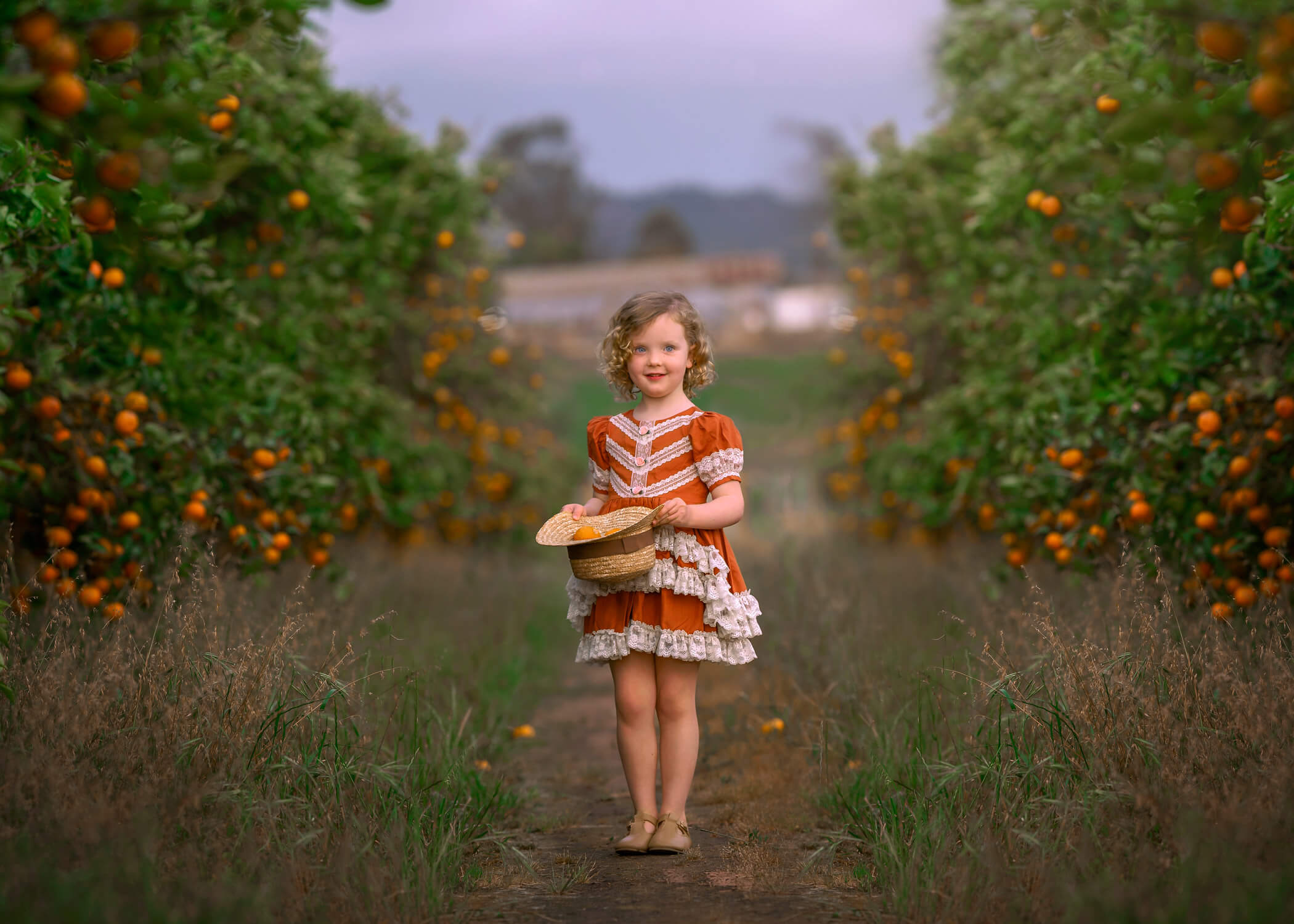 5 year old Perth girl with a basket full of oranges during photoshoot at an orange orchard